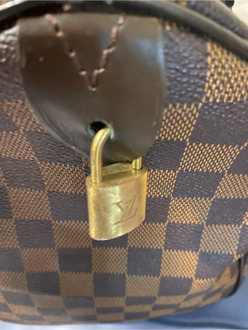 Brown Checkered Bag - Picture 4 of 10